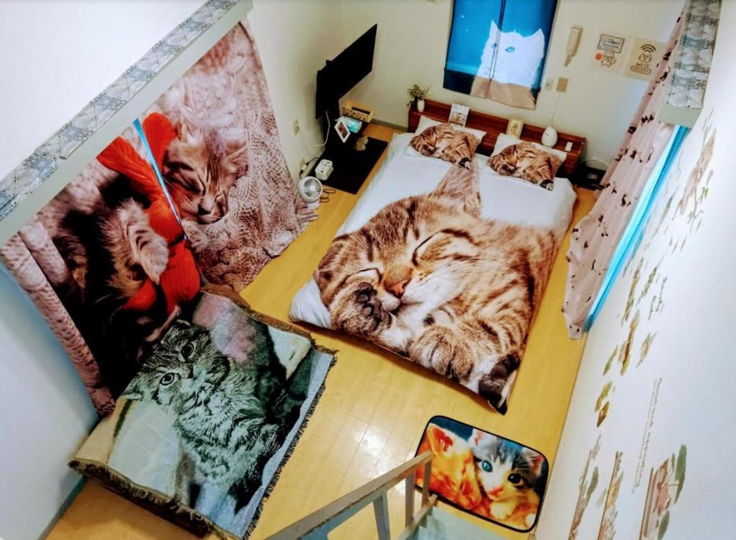 Tokyo Shibuya Shinjyuku Cat House ! Leilighet Eksteriør bilde