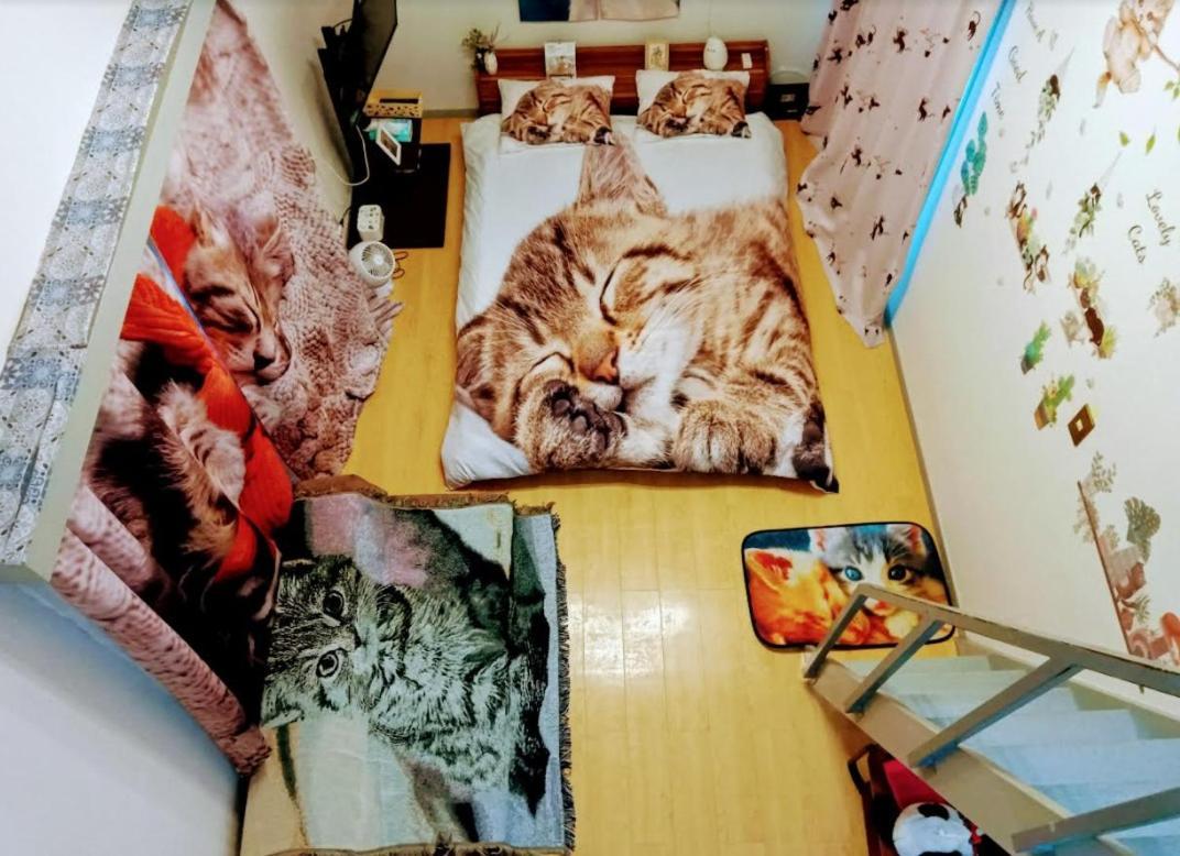 Tokyo Shibuya Shinjyuku Cat House ! Leilighet Eksteriør bilde
