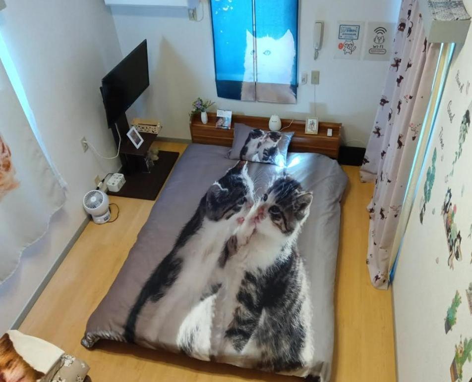 Tokyo Shibuya Shinjyuku Cat House ! Leilighet Eksteriør bilde