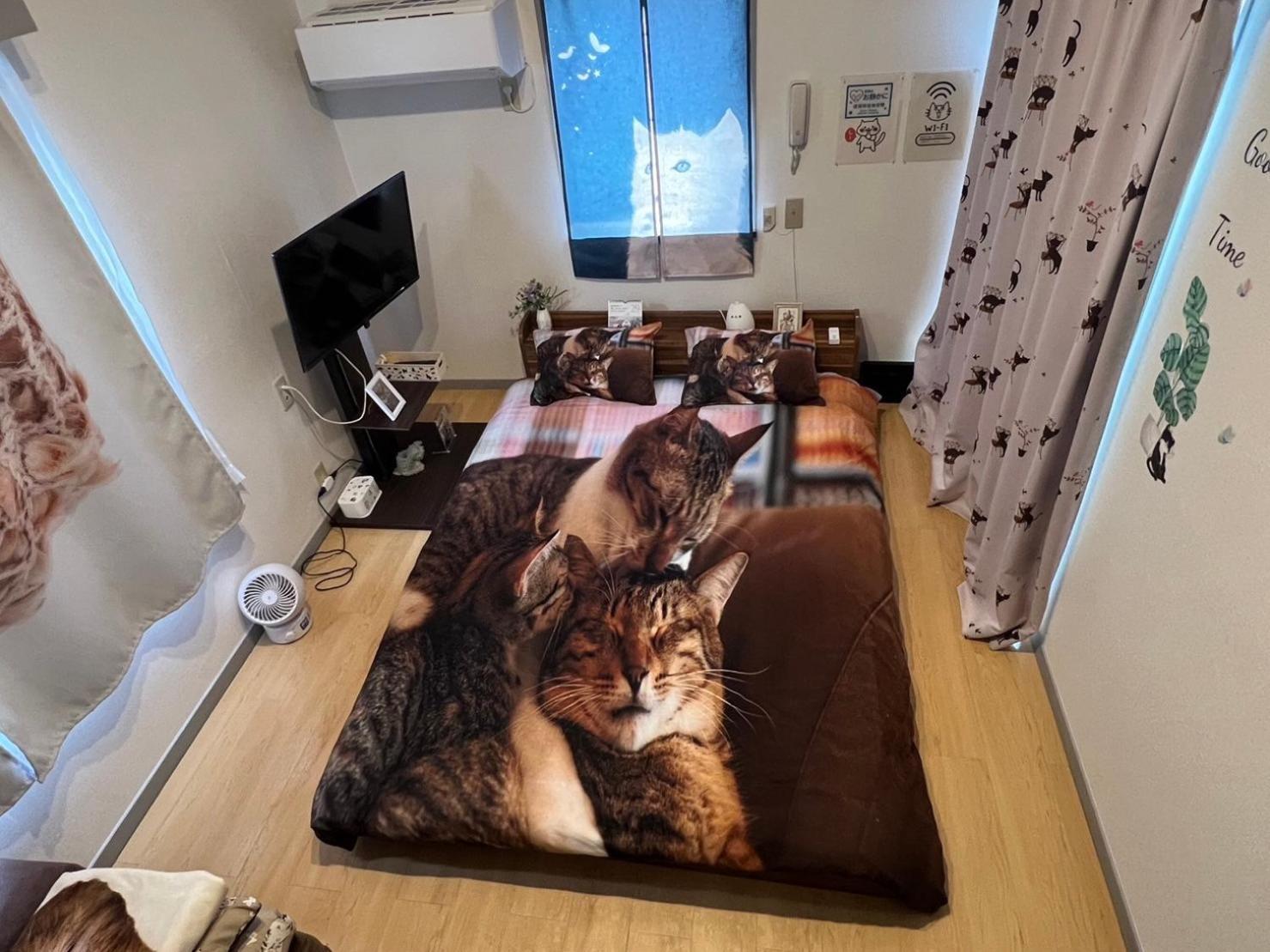 Tokyo Shibuya Shinjyuku Cat House ! Leilighet Eksteriør bilde