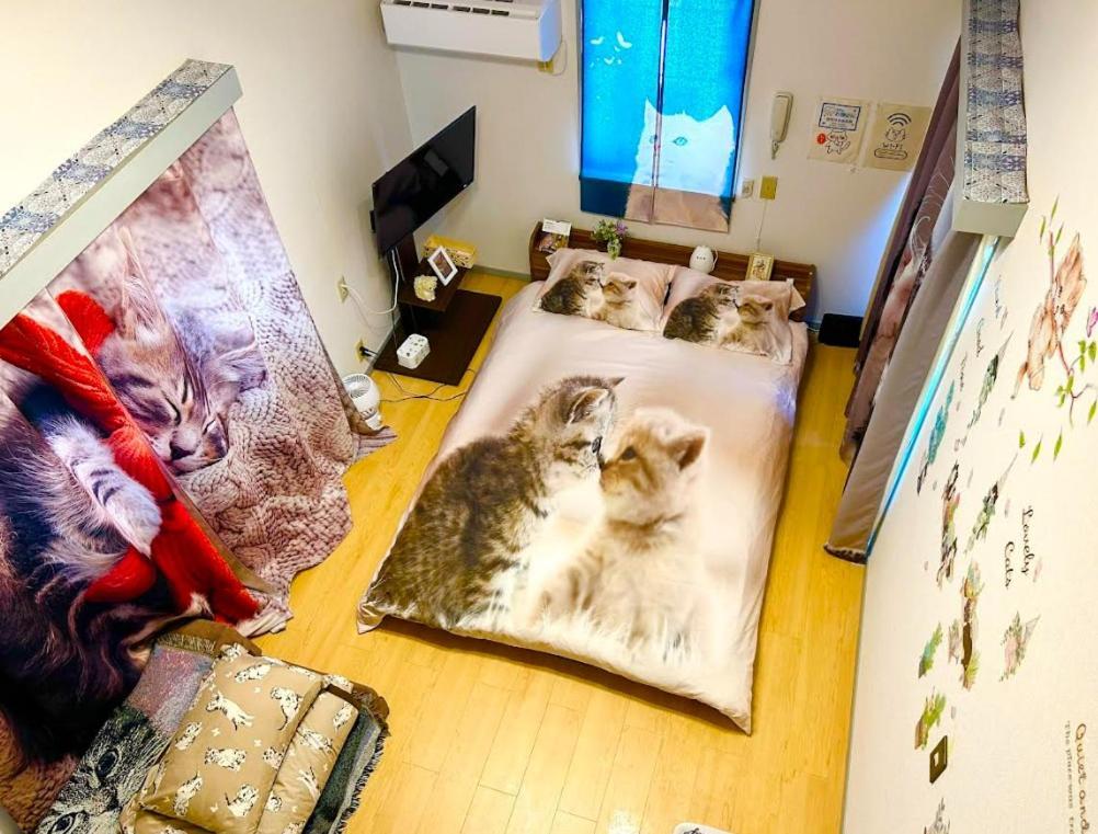 Tokyo Shibuya Shinjyuku Cat House ! Leilighet Eksteriør bilde